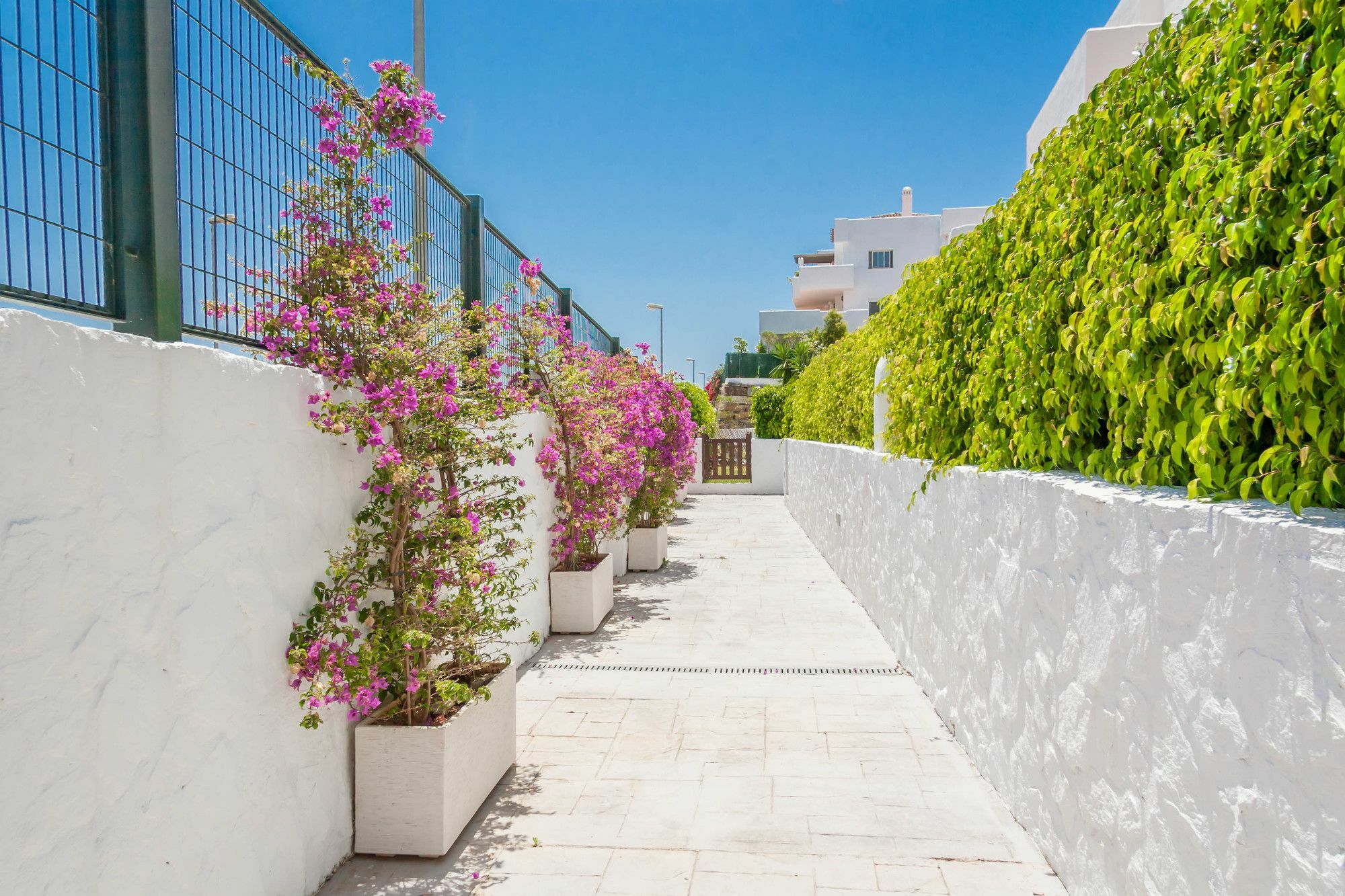 Golf Hill Estepona Canovas Exteriör bild